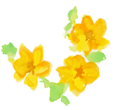 黄色の花のイラスト